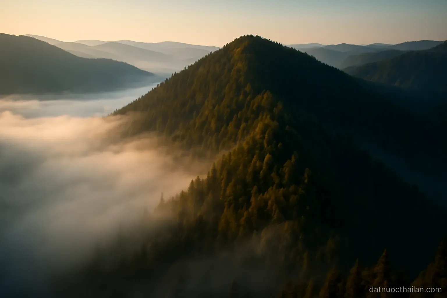 A mountain ridge covered in forest with mist settling in the valley below, early morning light